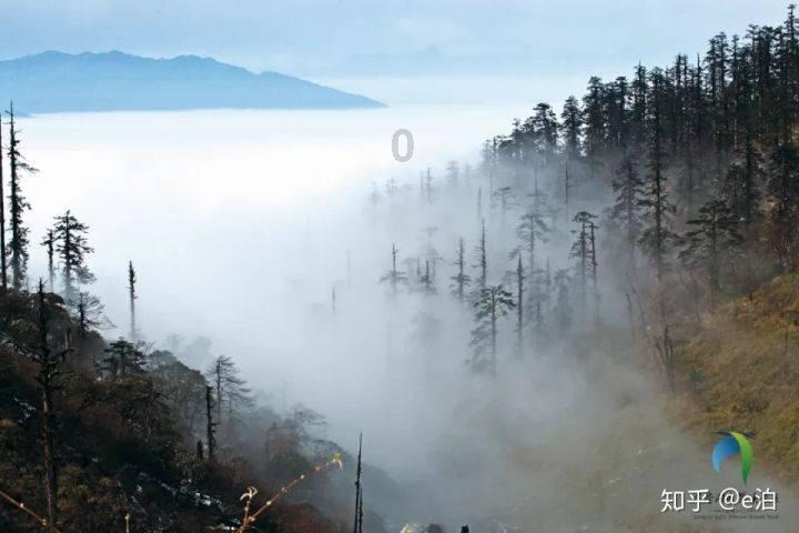 五彩弹珠祖玛